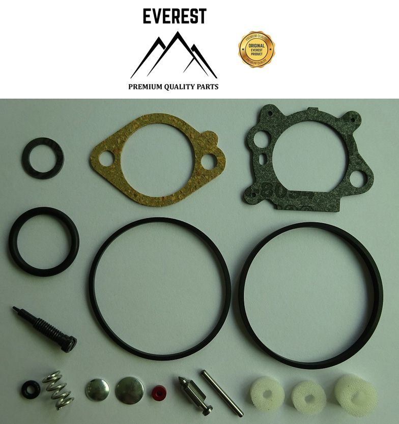REPAIR KIT BRIGGS&STRATTON QUANTUM 492495, 493762, 498260 EVEREST