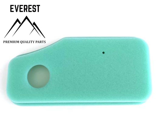 AIR FILTER BRIGGS&STRATTON 10HP-11HP 270843 EVEREST