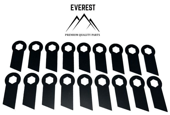 SCARIFIER BLADE CASTORAMA SPS38 HECHT 5654 SET 18pcs EVEREST