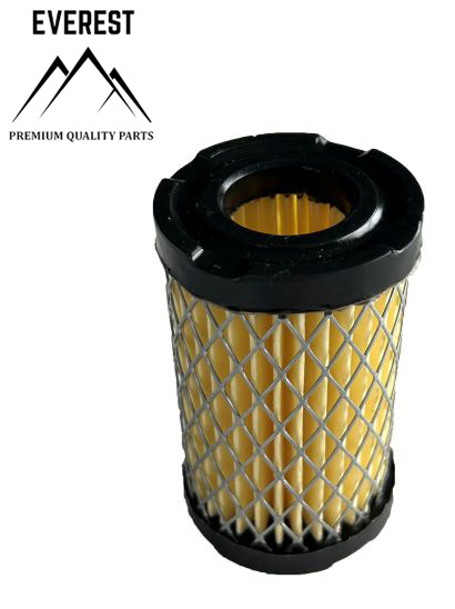 AIR FILTER TECUMSEH TVS EVEREST