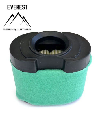 AIR FILTER BRIGGS&STRATTON 2 CYLINDER OHV NEW TYPE EVEREST