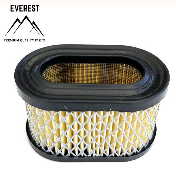AIR FILTER BRIGGS&STRATTON QUANTUM LOW EVEREST