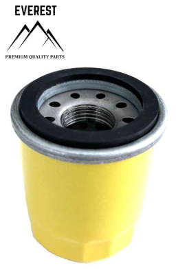 OIL FILTER BRIGGS&STRATTON 795990 EVEREST